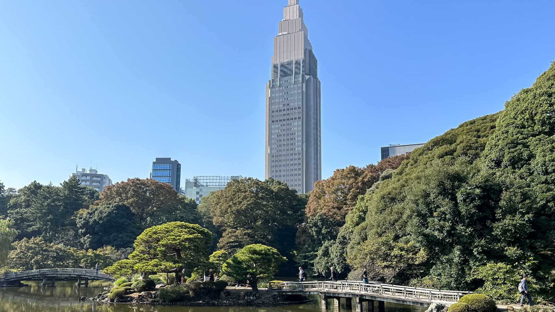 Tokyo Marathon: How To Effectively Use the Run-Walk Method